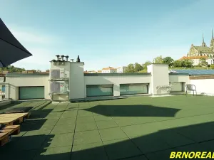 Pronájem bytu 1+kk, Brno, Vodní, 20 m2