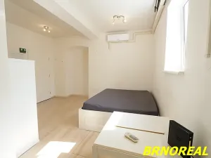 Pronájem bytu 1+kk, Brno, Vodní, 20 m2