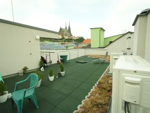 Pronájem bytu 1+kk, Brno, Vodní, 20 m2