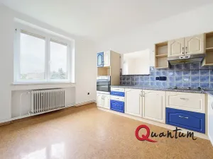Prodej bytu 3+1, Třemošná, Zálužská, 97 m2