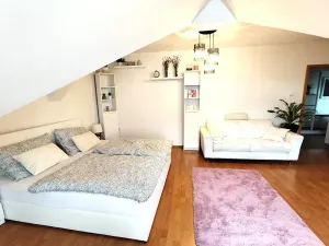 Pronájem bytu 4+1, Chrudim, Palackého třída, 133 m2