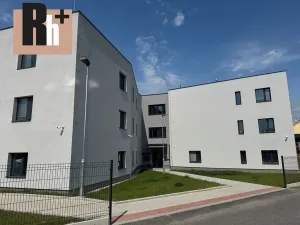 Pronájem bytu 3+kk, Ostrava, Opavská, 70 m2