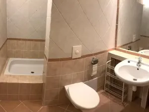 Pronájem bytu 1+kk, Praha, Jílovská, 35 m2
