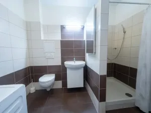Prodej bytu 1+kk, Brno, 30 m2