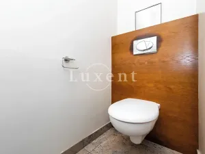 Pronájem bytu 4+1, Praha - Břevnov, Slavníkova, 294 m2