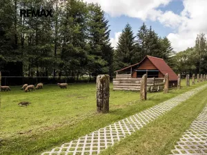 Prodej zemědělské usedlosti, Strmilov, Samota, 550 m2