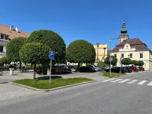 Prodej bytu 3+kk, Nová Bystřice, 91 m2