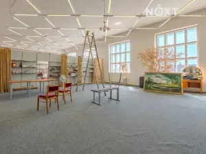 Prodej obchodního prostoru, Petrov, 615 m2