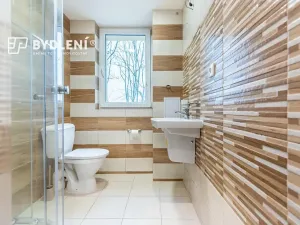 Pronájem bytu 2+1, Teplice, Bílinská, 55 m2