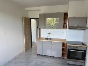 Prodej bytu 1+1, Příbram, Čechovská, 35 m2
