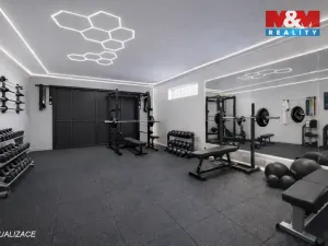 Prodej rodinného domu, Mukařov - Srbín, Na Budech, 160 m2