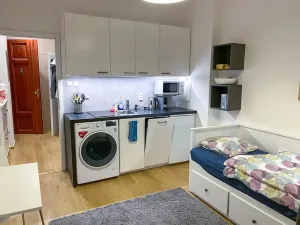 Pronájem bytu 1+kk, Praha - Vinohrady, Polská, 21 m2