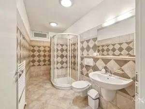 Pronájem rodinného domu, Dolní Břežany, V Úvozu, 420 m2