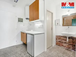 Prodej činžovního domu, Ústí nad Labem - Krásné Březno, Plavecká, 172 m2