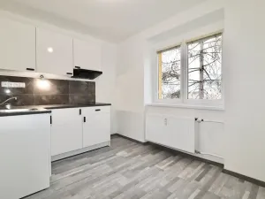 Prodej bytu 1+1, Teplice, Ruská, 30 m2