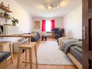 Prodej bytu 1+kk, České Budějovice, Lipenská, 34 m2