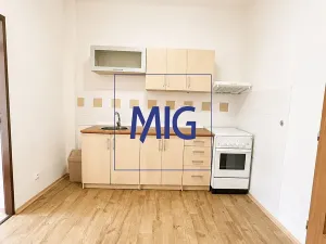 Pronájem bytu 1+1, Brno, Renneská třída, 35 m2