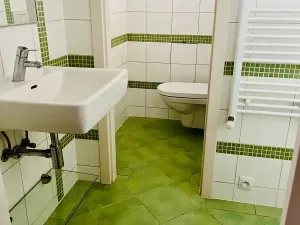 Prodej bytu 1+1, Karlovy Vary, Nad Dvorem, 43 m2