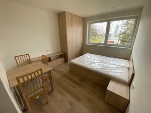 Pronájem bytu 1+kk, Jihlava, Okružní, 33 m2