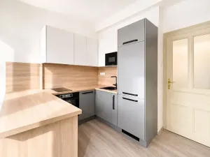 Pronájem bytu 2+kk, Praha - Vinohrady, Mánesova, 53 m2