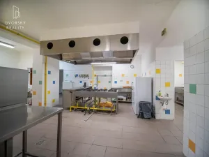 Prodej ubytování, Mnichovo Hradiště, 1213 m2