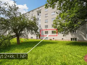 Pronájem bytu 2+kk, Olomouc, Dukelská, 47 m2