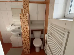 Pronájem bytu 2+1, Plzeň, Schwarzova, 63 m2