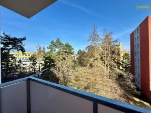 Pronájem bytu 1+1, Třebíč, Modřínová, 46 m2