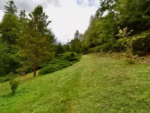 Prodej chaty, Číhošť, 75 m2