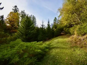 Prodej chaty, Číhošť, 75 m2
