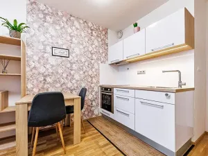 Pronájem bytu 1+kk, Olomouc, Edvarda Beneše, 23 m2