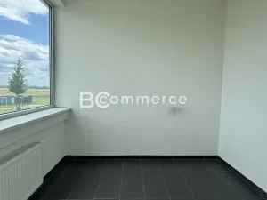 Pronájem kanceláře, Brno, Letiště Brno-Tuřany, 600 m2