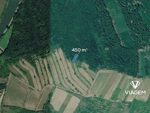 Prodej lesa, Němčičky, 450 m2