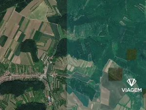 Prodej lesa, Němčičky, 450 m2
