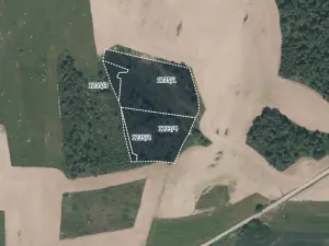 Prodej lesa, Velký Bor, 16139 m2