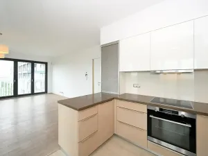 Pronájem bytu 4+kk, Praha - Žižkov, Olšanská, 120 m2