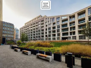 Pronájem bytu 2+kk, Praha - Karlín, Breitfeldova, 50 m2