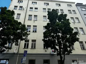 Pronájem bytu 4+kk, Praha - Vinohrady, Řipská, 135 m2