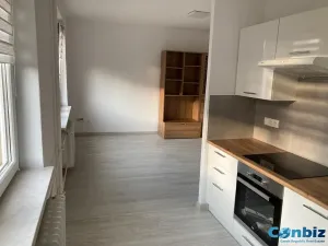 Prodej bytu 1+1, Třinec, Dukelská, 35 m2