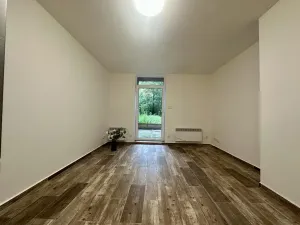 Pronájem bytu 2+kk, Plzeň, Mánesova, 43 m2