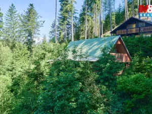 Prodej chaty, Náchod - Lipí, 51 m2