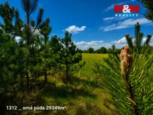 Prodej pole, Pňov-Předhradí - Pňov, 142115 m2