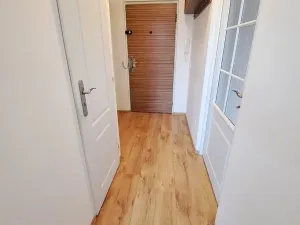 Pronájem bytu 1+1, Hradec Králové, Štefánikova, 40 m2
