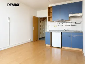 Pronájem bytu 1+kk, Brno, třída Generála Píky, 22 m2
