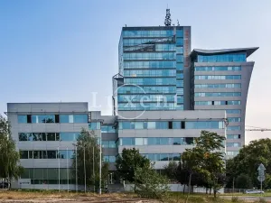 Pronájem kanceláře, Praha - Holešovice, Jankovcova, 291 m2