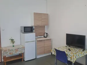 Pronájem bytu 1+kk, Hranice - Hranice I-Město, Potštátská, 40 m2