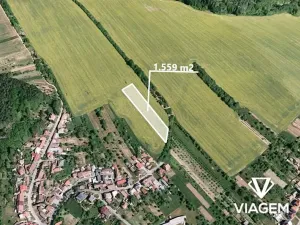 Prodej pole, Březolupy, 1559 m2