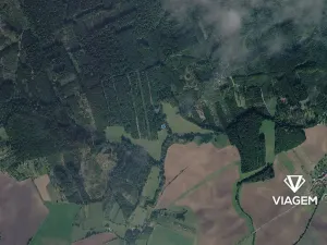 Prodej pole, Roštění, 585 m2