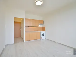 Pronájem bytu 1+kk, Ústí nad Labem, Hoření, 22 m2