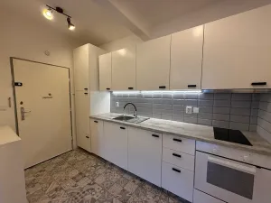 Pronájem bytu 1+kk, Praha - Nusle, Sdružení, 39 m2